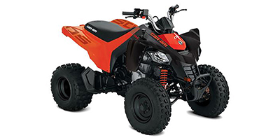 2020 Can-Am DS 250 ATV specs and photos of Can-Am DS 250