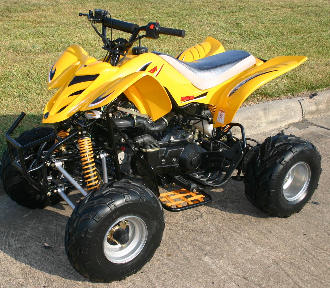 2025 Kazuma Falcon 250 quad bike