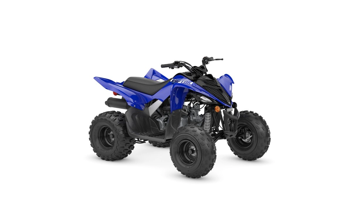 2025 Yamaha Raptor 110 quad bike