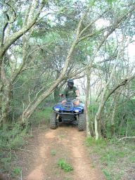 When we got back on the quads, and rode 20 meters, we found ourselves in an almost tropical forest.