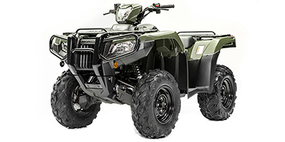 2020 Honda FourTrax Foreman Rubicon 4x4 Automatic DCT ATV / Quad Bike