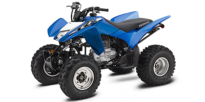 2020 Honda TRX 250X ATV / Quad Bike