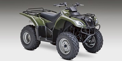 2013 Suzuki Ozark 250 ATV / Quad Bike
