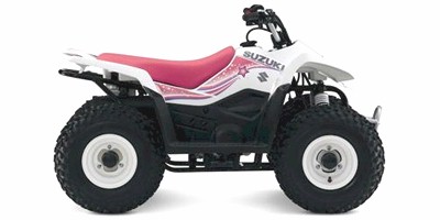 2009 Suzuki QuadSport Z50 Special Edition ATV / Quad Bike