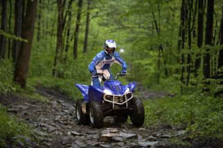 yamaha wolverine 350 in forest
