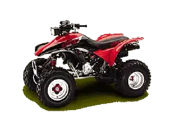 Honda FourTrax 300EX ATV specs and photos of Honda FourTrax 300EX 1999
