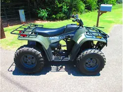 Arctic Cat 250 2x4 ATV specs and photos of Arctic Cat 250 2x4 2005
