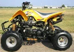 Kazuma Falcon 250 ATV specs and photos of Kazuma Falcon 250 2006