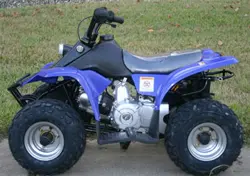 Kazuma Meerkat 50 ATV specs and photos of Kazuma Meerkat 50 2006
