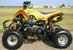 Kazuma Falcon 250 ATV specs and photos of Kazuma Falcon 250 2007