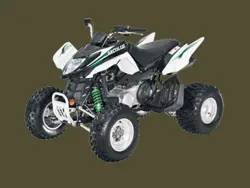 Arctic Cat 300 DVX ATV specs and photos of Arctic Cat 300 DVX 2010