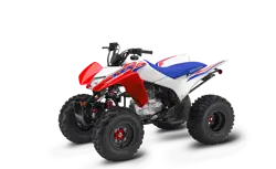 Honda TRX 250XATV specs and photos of 2025 Honda TRX 250X