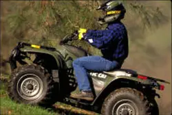 Arctic Cat 250 2X4 ATV specs and photos of Arctic Cat 250 2X4 2002