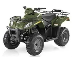 Arctic Cat 250 2x4 Automatic ATV specs and photos of Arctic Cat 250 2x4 Automatic 2007