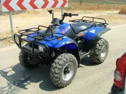Linhai Rustler 260 XL ATV specs and photos of Linhai Rustler 260 XL 2006