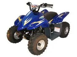 2007 Dinli Beast 90 ATV / Quad bike Dinli Beast 90 ATV specs and photos of Dinli Beast 90 2007