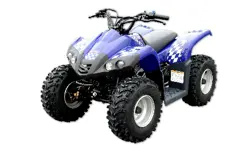2007 Dinli JP 50 ATV / Quad bike Dinli JP 50 ATV specs and photos of Dinli JP 50 2007