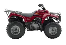 Kawasaki Bayou 250 4x2 ATV specs and photos of Kawasaki Bayou 250 4x2 2006