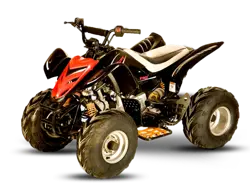Kazuma Falcon 110 ATV specs and photos of Kazuma Falcon 110 2025