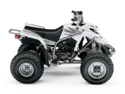 Yamaha Blaster 200 ATV specs and photos of Yamaha Blaster 200 2006