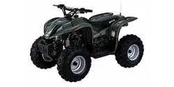 Arctic Cat 90 2x4 4-Stroke ATV specs and photos of Arctic Cat 90 2x4 4-Stroke 2004