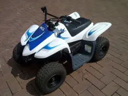 Dinli Dino 50ATV specs and photos of 2025 Dinli Dino 50