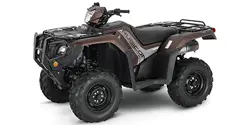 Honda FourTrax Foreman Rubicon 4x4 EPS ATV specs and photos of Honda FourTrax Foreman Rubicon 4x4 EPS 2020