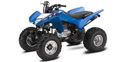 Honda TRX 250X ATV specs and photos of Honda TRX 250X 2020
