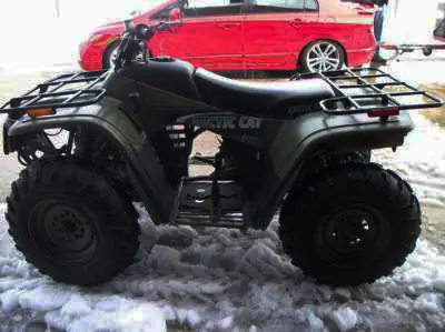 Arctic Cat Arctic Cat 250 4X4 4X4 2002