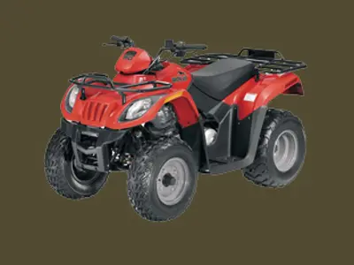 Arctic Cat Arctic Cat 150 2x4 2x4 2010