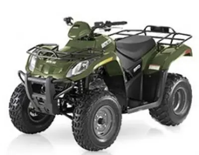 Arctic Cat Arctic Cat 250 2x4 Automatic 2x4 Automatic 2007