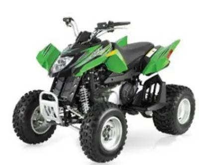 Arctic Cat Arctic Cat DVX 250 250 2007