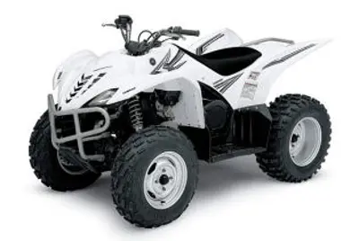 Yamaha Yamaha Wolverine 450 4x4 450 4x4 2006