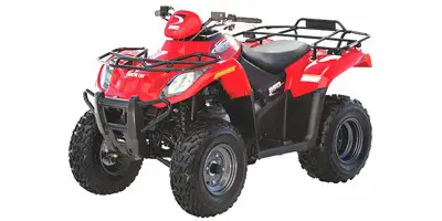 Arctic Cat Arctic Cat 250 2x4 2x4 2006