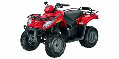 Arctic Cat Arctic Cat 250 2x4 2x4 2009