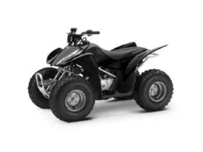 Honda Honda Sportrax TRX90 TRX90 2006