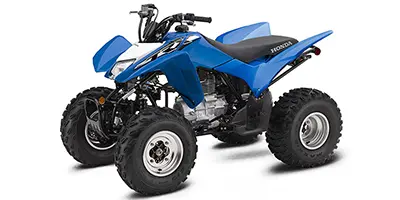 Honda Honda TRX 250X 250X 2020