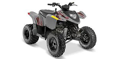 Polaris Polaris Phoenix 200 200 2020