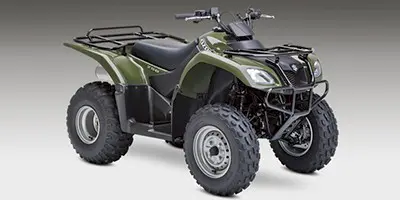 Suzuki Suzuki Ozark 250 250 2013