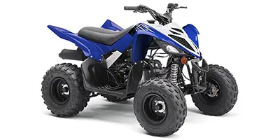 Yamaha Yamaha Raptor 90 90 2019