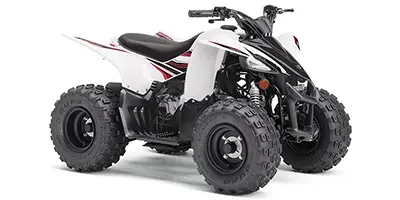 Yamaha Yamaha YFZ 50 50 2019