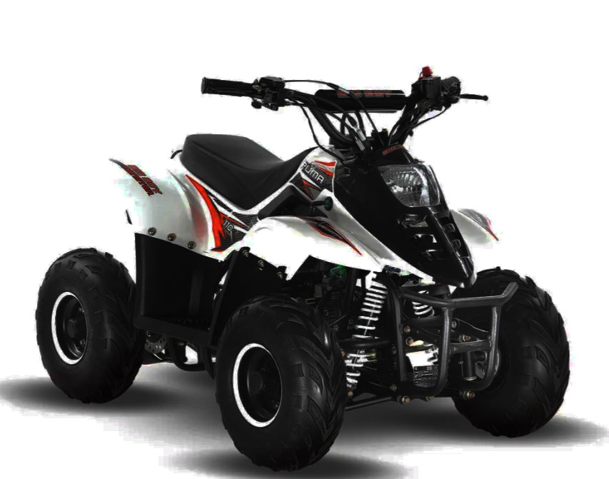 2025 Big Boy Monster Puma 110 ATV specs and photos of Big Boy Monster Puma 110