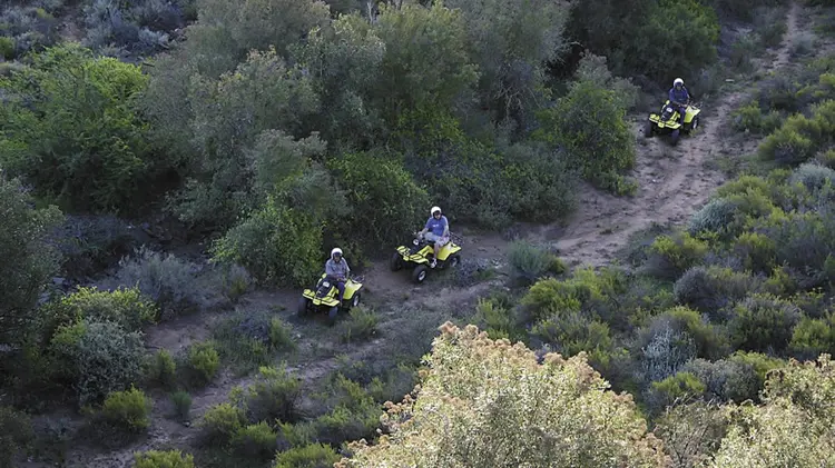 Quad Biking in Tradouw Valley, Western Cape – Trails, Tips & Adventure