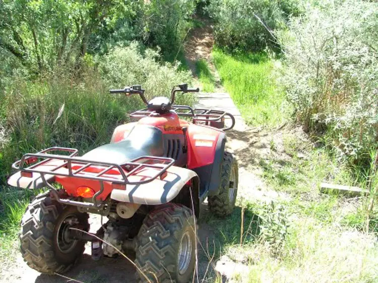 RUSTLER 260 XL Write-up