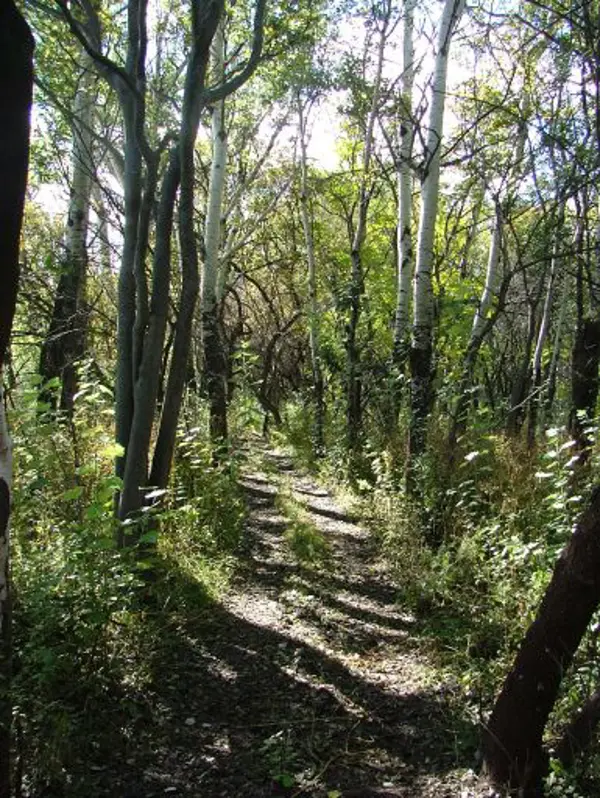 Berakah Winter Quad biking weekend